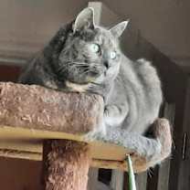 Thumbnail photo of Sophie #1