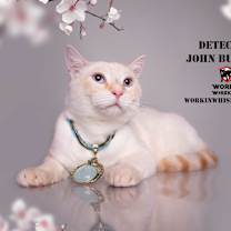 Thumbnail photo of DETECTIVE JOHN BURROWS #1