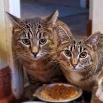 Thumbnail photo of Dan #3