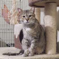 Thumbnail photo of Sanora #2