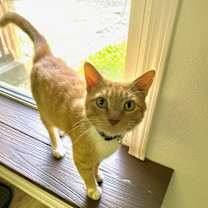 Thumbnail photo of Morris #3