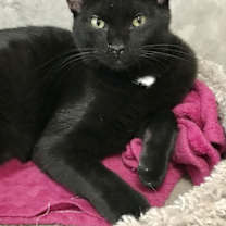 Thumbnail photo of Luc #3