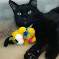 Thumbnail photo of Luc #4