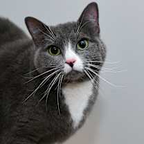 Thumbnail photo of Elizabeth #4