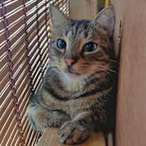 Thumbnail photo of Mikey #1
