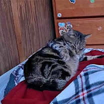 Thumbnail photo of Mikey #4