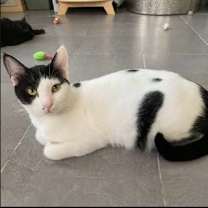 Thumbnail photo of Annabelle from Kuwait #1