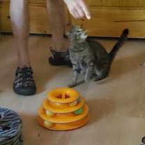 Thumbnail photo of Glenda #4