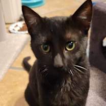 Thumbnail photo of Bob #1