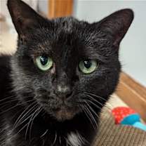 Thumbnail photo of Tia #1