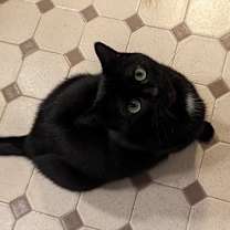 Thumbnail photo of Tia #3