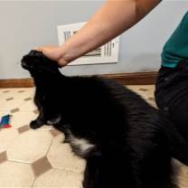 Thumbnail photo of Tia #4