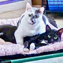 Thumbnail photo of Pistachio #4