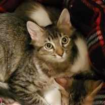 Thumbnail photo of Rainbow #4