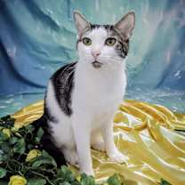 Thumbnail photo of Alex #2