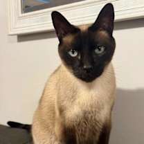 Thumbnail photo of Fred #1