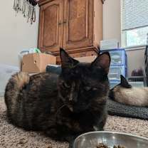 Thumbnail photo of Kooks #3