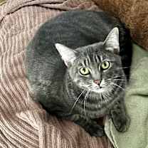 Thumbnail photo of Pricilla #1
