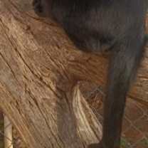 Thumbnail photo of Eddie #1