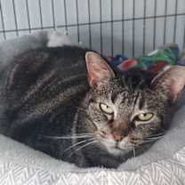 Thumbnail photo of Carla #1