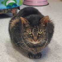 Thumbnail photo of Carla #2