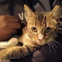 Thumbnail photo of Buddy Nov 23 #2