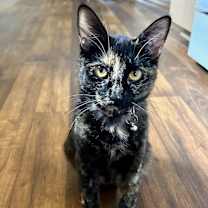 Thumbnail photo of Caroline #2