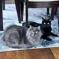 Thumbnail photo of Reecee #3