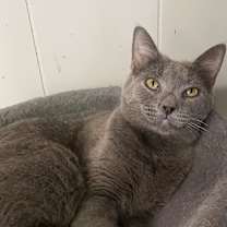 Thumbnail photo of Titanium #1
