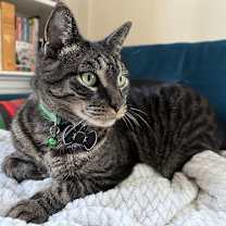 Thumbnail photo of Stolzen #2