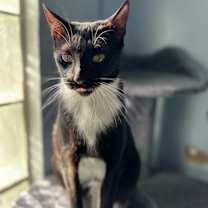 Thumbnail photo of Swaddles #3