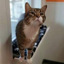 Thumbnail photo of Frank #2