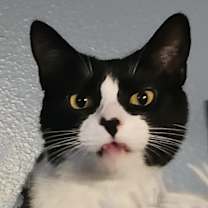 Thumbnail photo of Tasha #2