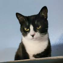 Thumbnail photo of Tasha #1