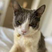 Thumbnail photo of Joan #2