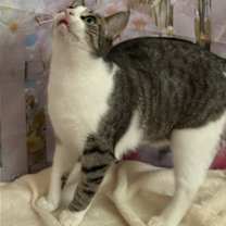 Thumbnail photo of Shirley #3