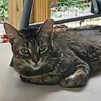 Thumbnail photo of Maisie #2