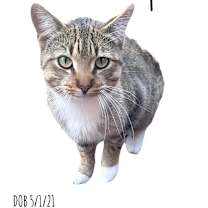 Thumbnail photo of Jasper #2