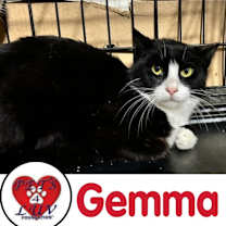 Thumbnail photo of Gemma - Grumman 9 #1