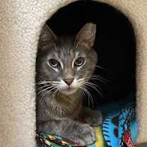 Thumbnail photo of BABY BOY #1 #1