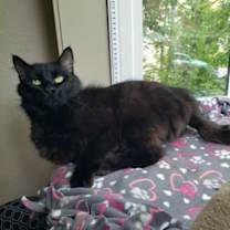 Thumbnail photo of Leonard #1