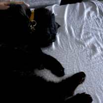 Thumbnail photo of Leonard #4