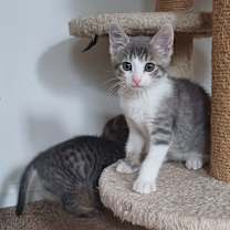 Thumbnail photo of April & Tiny #4