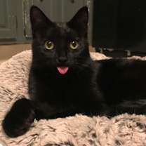 Thumbnail photo of Molly #2