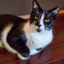 Thumbnail photo of Matteo #3