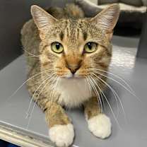 Thumbnail photo of Jasper #1