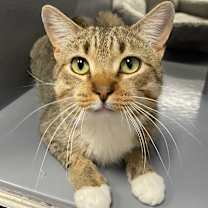 Thumbnail photo of Jasper #3