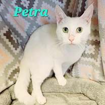 Thumbnail photo of Petra #2