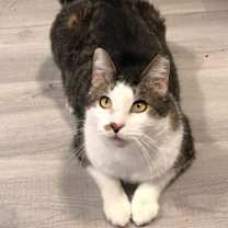 Thumbnail photo of Disney #3