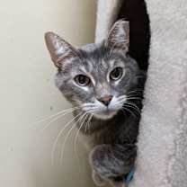 Thumbnail photo of BABY BOY #1 #2